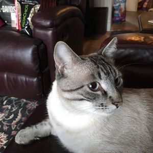 Meet your Posher, Susan